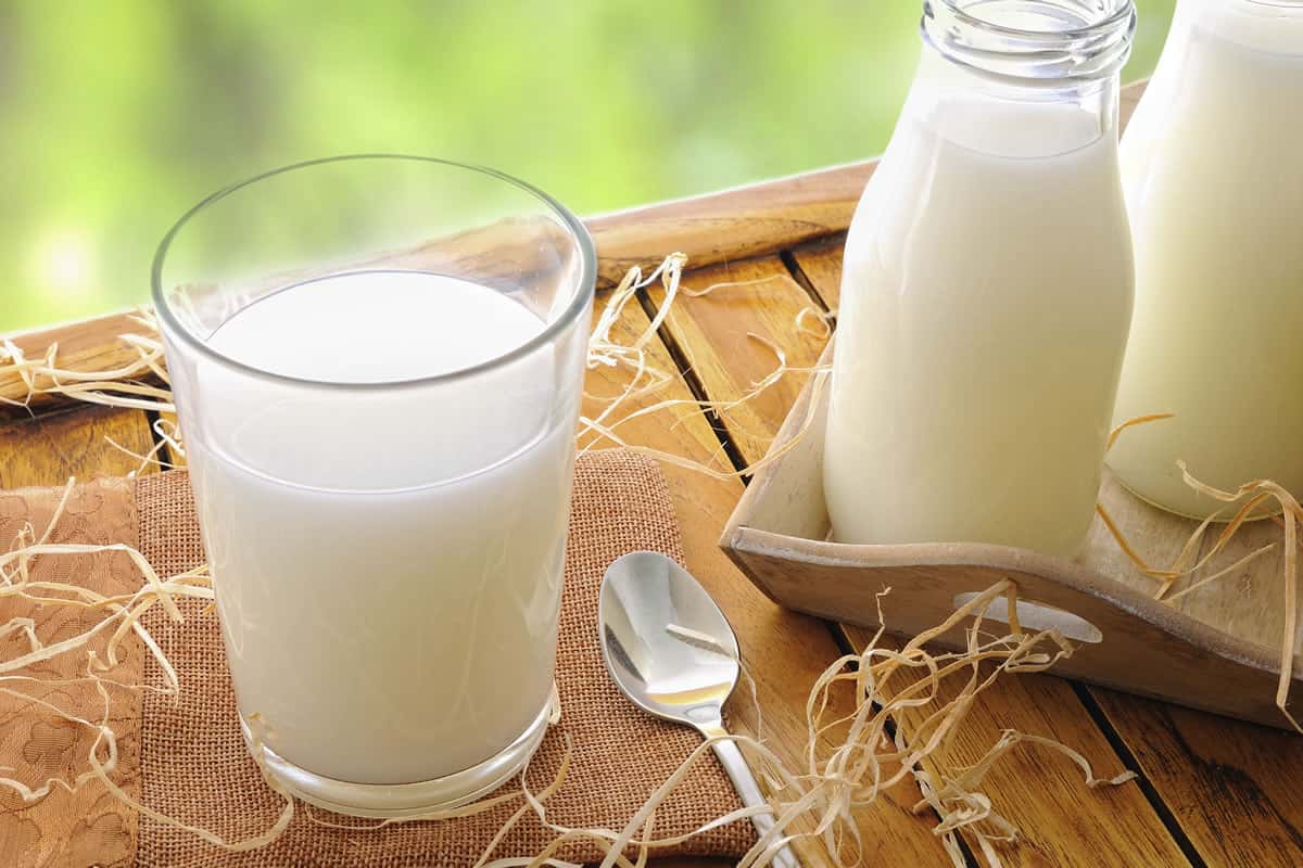 Best Milk Brands in Kuwait