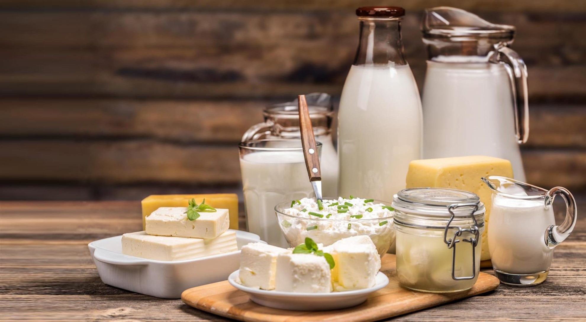 Fresh dairy products variety: milk, yogurt, cheese and more. Enjoy the daily benefits of dairy