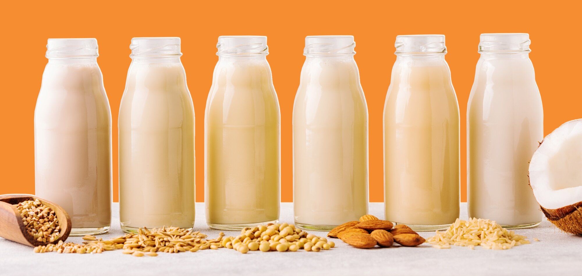 Compare soy, almond, oat, and other milk substitutes. Find your ideal match by learning about their flavor characteristics and nutritional advantages.
