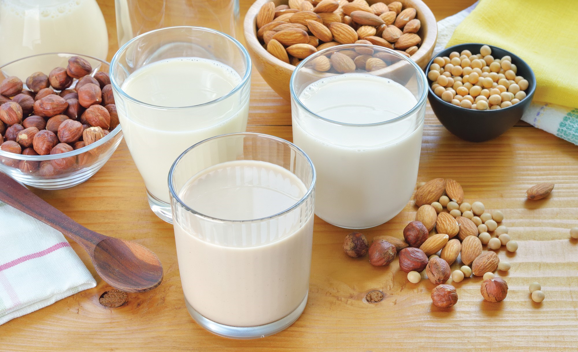 Best dairy in Kuwait: Perfect for your health and family