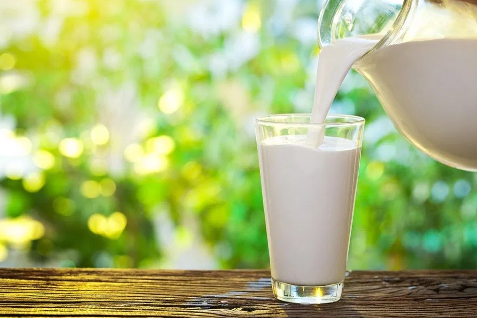 Kuwaiti kitchen with carefully stored fresh milk to prolong its shelf life.
